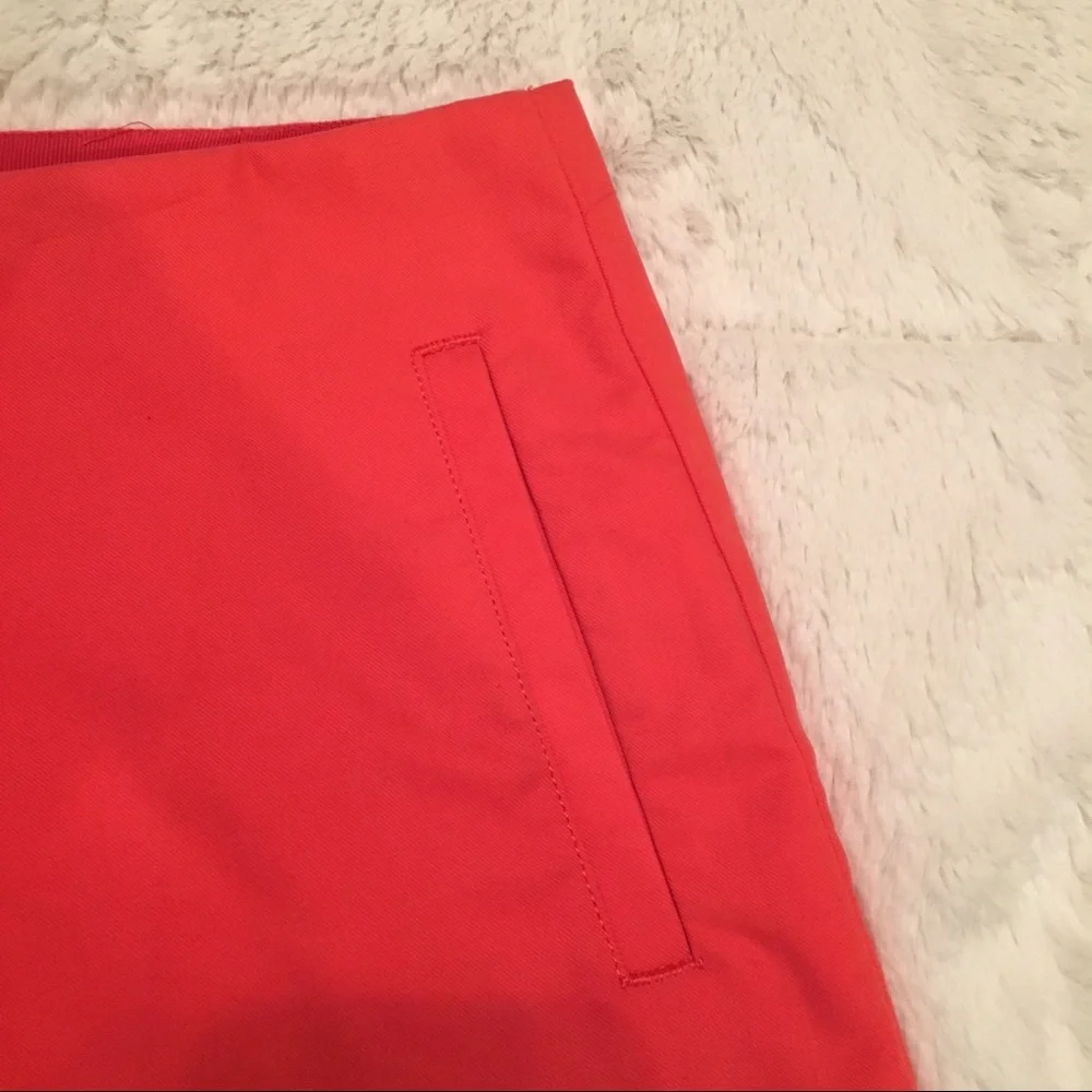 J. Crew Skirt